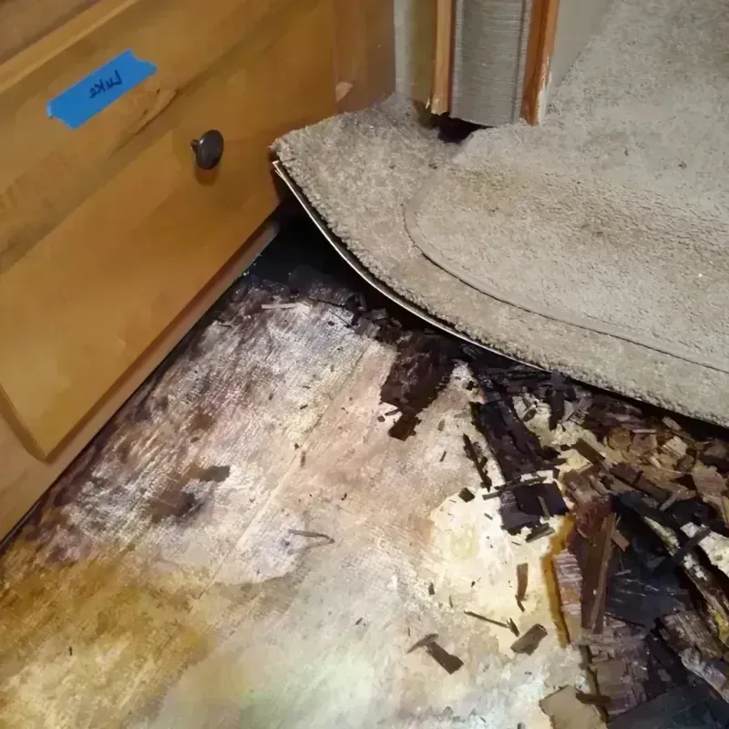 Wood Floor Water Damage in Laplace, LA